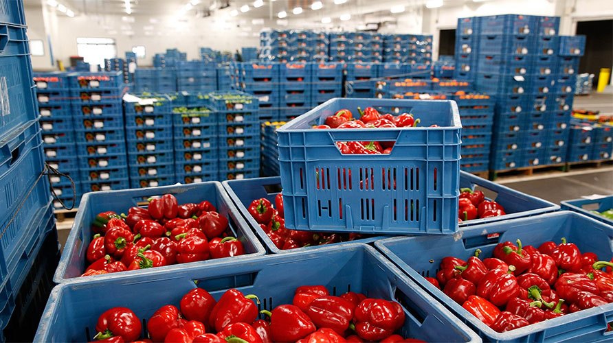 Fermeret kunder paketes fiskale, 6 kerkesat per qeverine